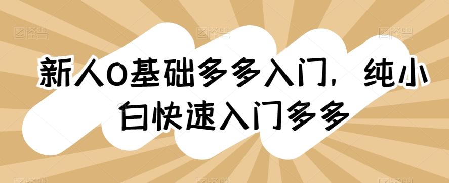 新人0基础多多入门，​纯小白快速入门多多-云泽轻创网