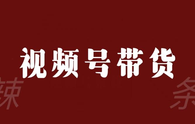 视频号带货联盟，赚信息差的带货钱，只需手机随时随地都可以做！-云泽轻创网