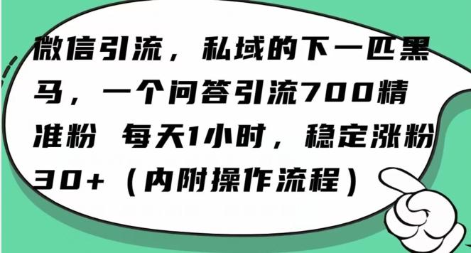 怎么搞精准创业粉？微信新赛道，每天一小时，利用Ai一个问答日引100精准粉-云泽轻创网