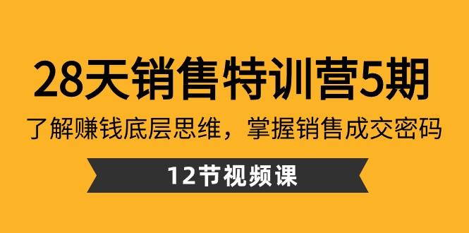28天销售特训营5期：了解赚钱底层思维，掌握销售成交密码（12节课）-云泽轻创网