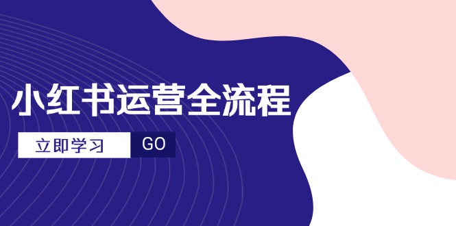 小红书运营全流程，爆款选题文案，视频制作技巧，进阶达人宝典-云泽轻创网