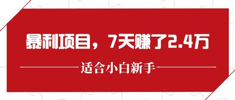 最新暴利项目，每单收益轻松在300以上，7天赚了2.4万-云泽轻创网
