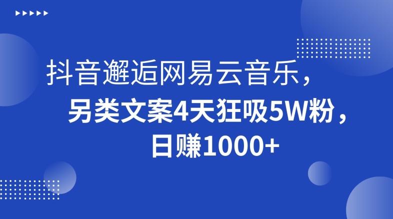 抖音邂逅网易云音乐,另类文案4天狂吸5W粉,日赚1000+【揭秘】