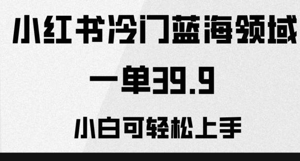 小红书冷门蓝海领域，一单39.9，小白可轻松上手-云泽轻创网