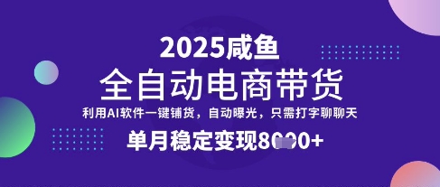 全网首发【闲鱼全自动电商带货】三年磨一剑，一朝露锋芒，单月稳定变现8k+【揭秘】-云泽轻创网