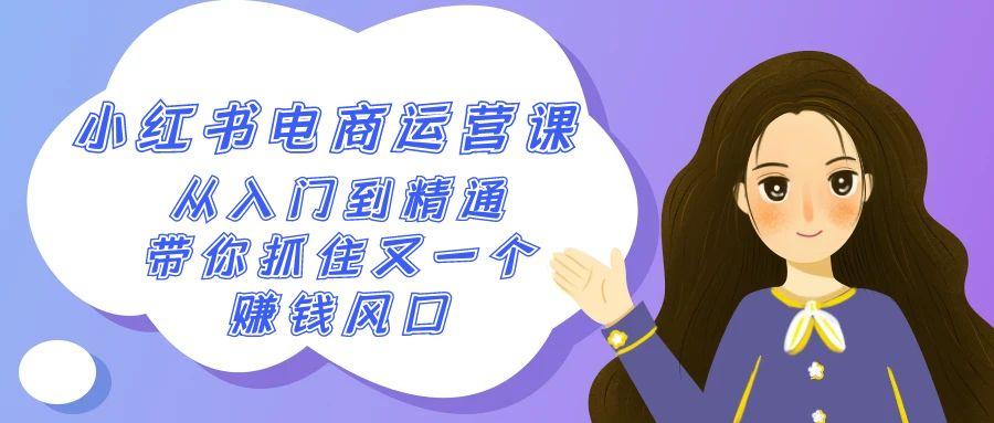 2024小红书电商运营课，从入门到精通，带你抓住又一个赚钱风口(50节课)-云泽轻创网