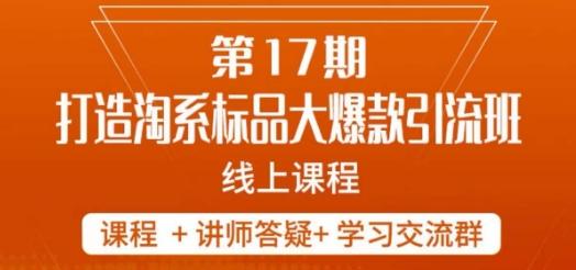 南掌柜-第17期打造淘系标品大爆款，5天线上课-云泽轻创网