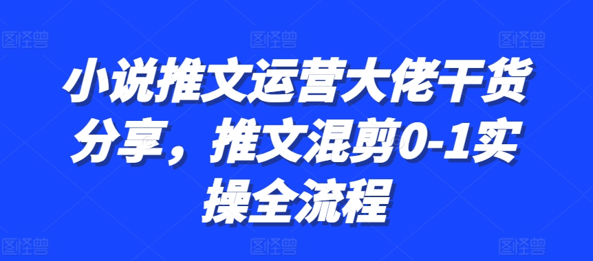 小说推文运营大佬干货分享，推文混剪0-1实操全流程-云泽轻创网