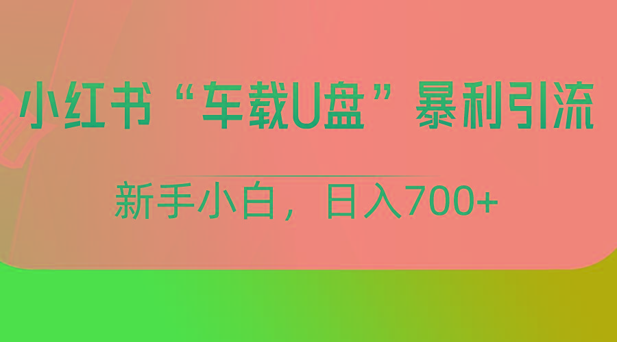 小红书“车载U盘”项目，暴利引流，新手小白轻松日入700+-云泽轻创网