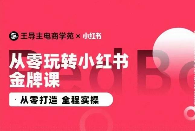 王导主·小红书电商运营实操课，​从零打造  全程实操-云泽轻创网