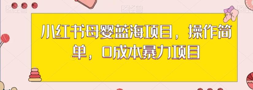 小红书母婴蓝海项目，操作简单，0成本暴力项目-云泽轻创网