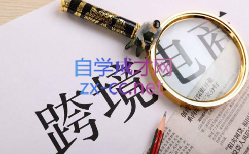 帮课大学VIP会员课程(更新2025年)-云泽轻创网