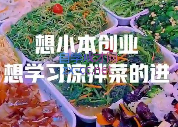 李记·精品凉拌菜系列热卤系列教程-云泽轻创网