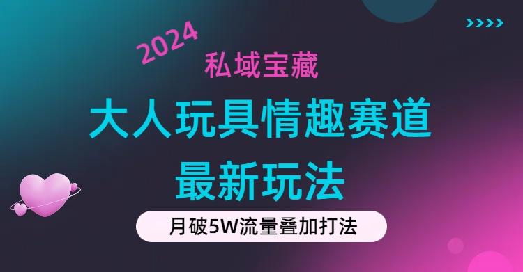 私域宝藏：大人玩具情趣赛道合规新玩法，零投入，私域超高流量成单率高-云泽轻创网