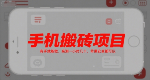 手机搬砖项目，有手就能做，亲测一小时几十，苹果安卓都可以-云泽轻创网