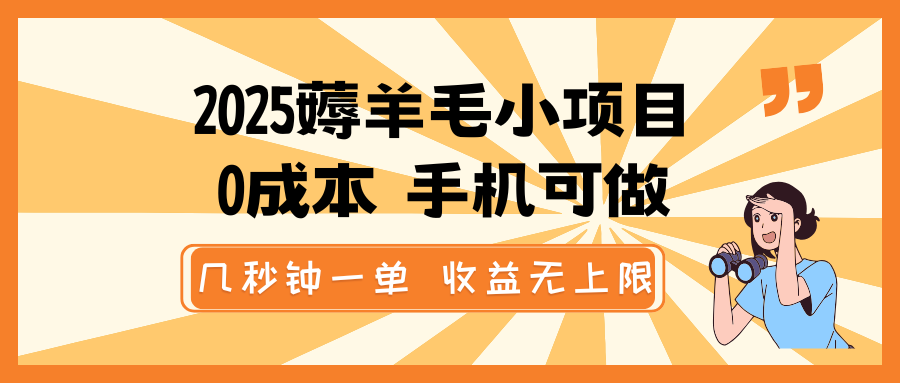 2025薅羊毛小项目，0成本 手机可做，几秒钟一单，收益无上限-云泽轻创网