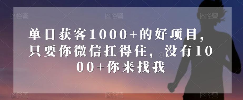 单日获客1000+的好项目，只要你微信扛得住，没有1000+你来找我【揭秘】-云泽轻创网