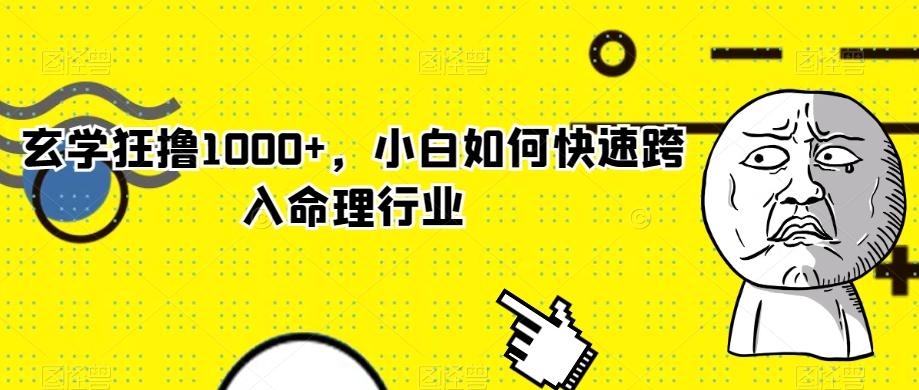 玄学狂撸1000+，小白如何快速跨入命理行业-云泽轻创网
