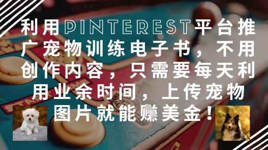 利用Pinterest平台推广宠物训练电子书，不用创作内容，只需要每天利用业余时间，上传宠物图片就能挣美金!-云泽轻创网
