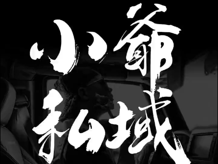 小爷·私域项目操盘手-云泽轻创网
