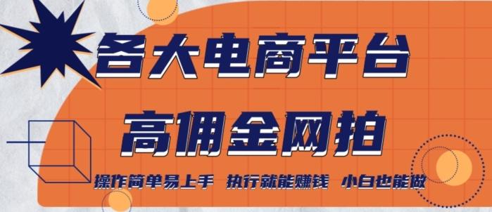 各大电商平台高佣金网拍，操作简单易上手，执行就能赚钱，小白也能做-云泽轻创网