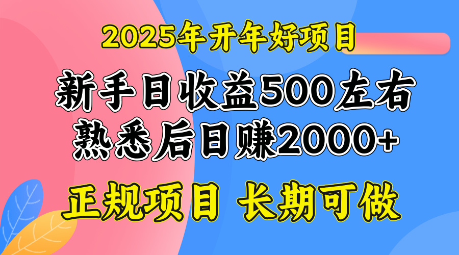 2025开年好项目，单号日收益2000左右-云泽轻创网
