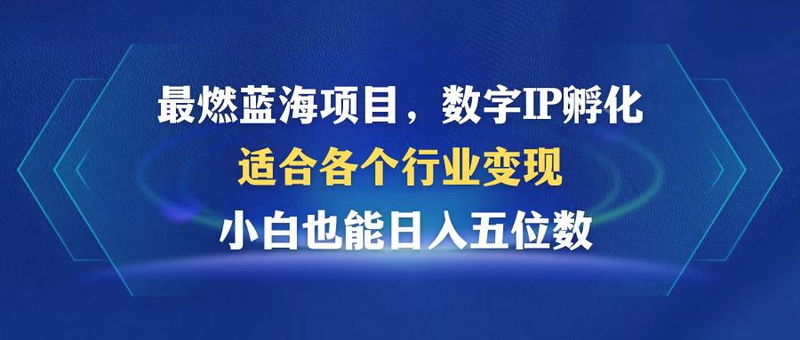 最燃蓝海项目  数字IP孵化  适合各个行业变现  小白也能日入5位数-云泽轻创网