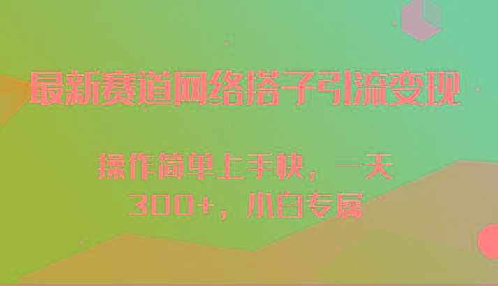 最新赛道网络搭子引流变现!!操作简单上手快，一天300+，小白专属-云泽轻创网