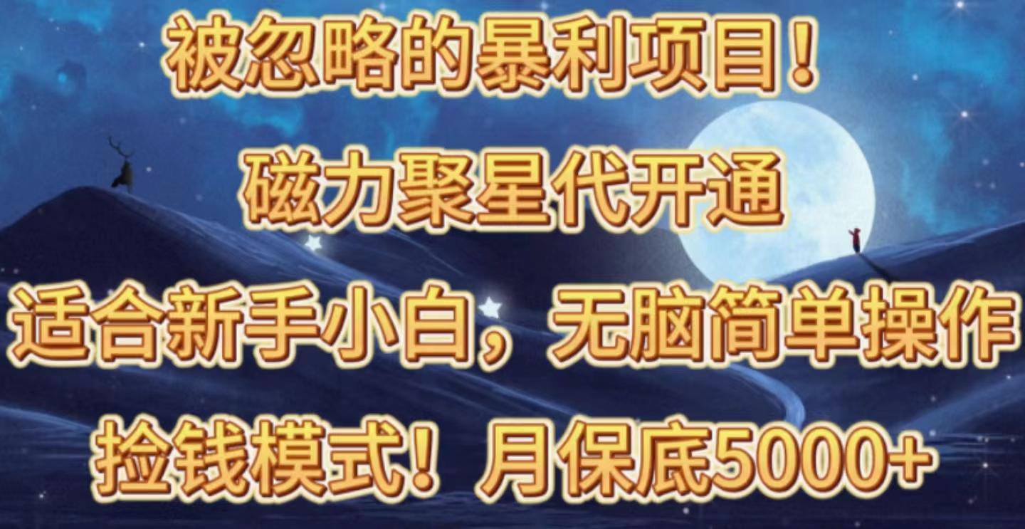 被忽略的暴利项目！磁力聚星代开通捡钱模式，轻松月入五六千-云泽轻创网