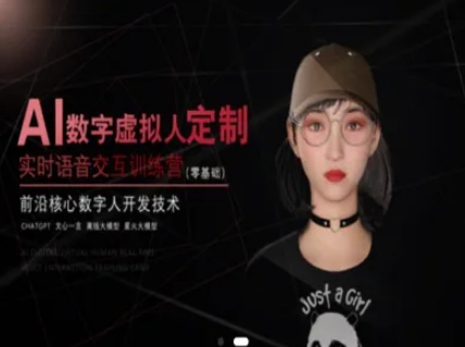 AI数字虚拟人定制，实时语音交互训练营(零基础)，前沿核心数字人开发技术-云泽轻创网