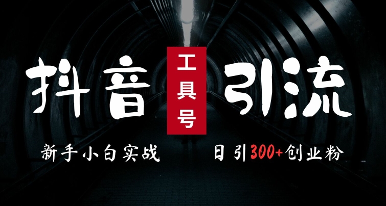 2024最新抖音工具号引流玩法，高效日引300+创业粉，当天变现5k，小白也可成为实战高手-云泽轻创网