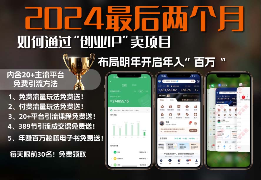 2024最后两个月如何通过”创业IP“卖项目年入”百万“,创业IP+最强引流…-云泽轻创网