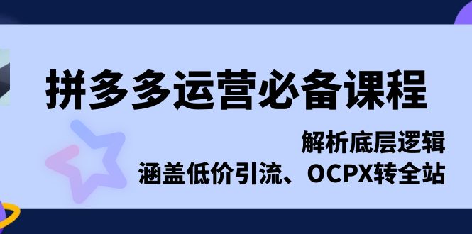 拼多多运营必备课程，解析底层逻辑，涵盖低价引流、OCPX转全站-云泽轻创网
