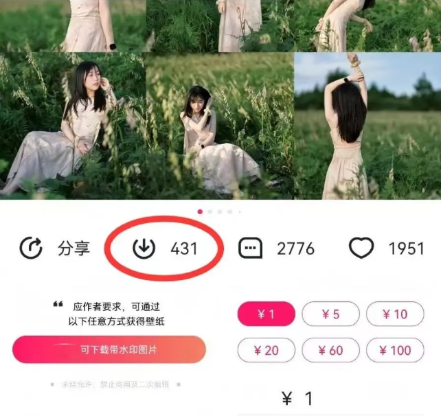 最新图虫搬运项目,收益无上限,利用AI小白也可日赚500+-云泽轻创网