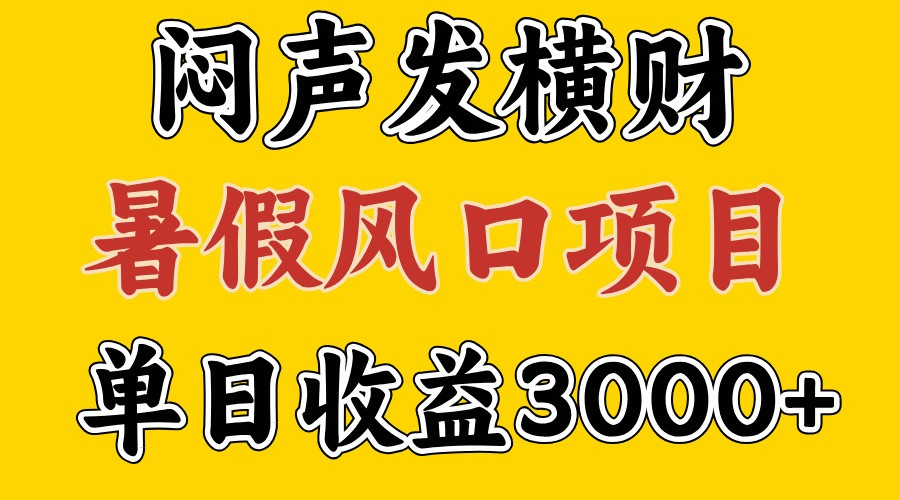 30天赚了7.5W 暑假风口项目，比较好学，2天左右上手-云泽轻创网