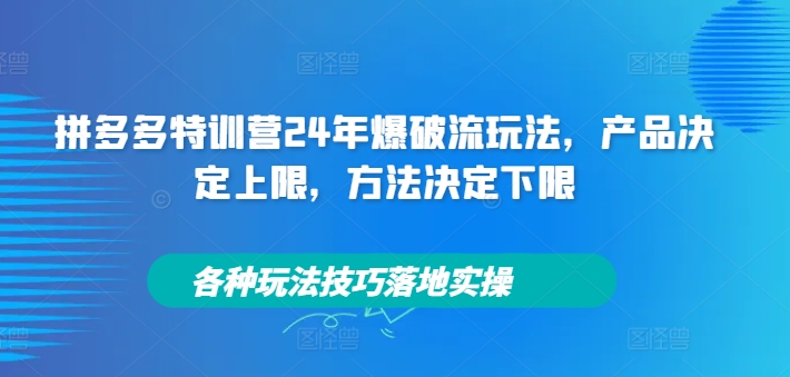 拼多多特训营24年爆破流玩法，产品决定上限，方法决定下限，各种玩法技巧落地实操-云泽轻创网