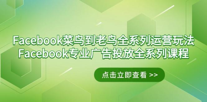 Facebook-菜鸟到老鸟全系列运营玩法+Facebook-专业广告投放全系列课程-云泽轻创网