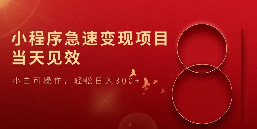 小程序急速变现项目，当天见效，小白可操作，轻松日入300+-云泽轻创网
