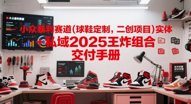 小众暴利赛道(球鞋定制，二创项目)实体+私域2025王炸组合  交付手册-云泽轻创网