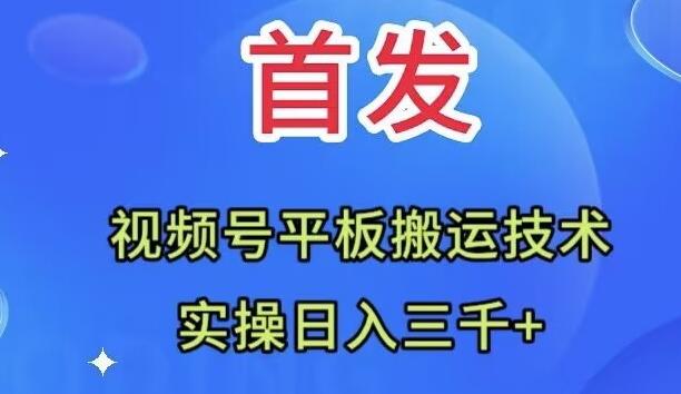 全网首发：视频号平板搬运技术，实操日入三千＋-云泽轻创网
