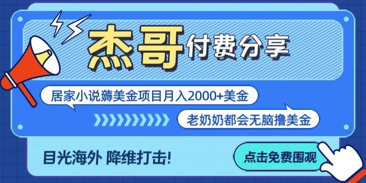 拆解海外撸美金项目月入2000美刀详细指导-云泽轻创网