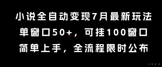 小说全自动变现7月玩法，单窗口50+，可挂100窗口，简单上手，全流程限时公布【揭秘】-云泽轻创网