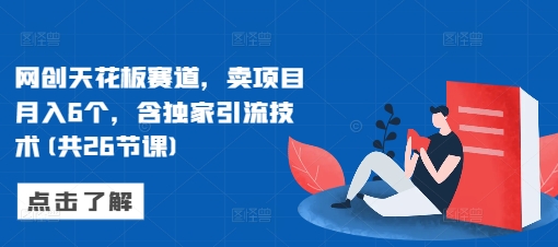 网创天花板赛道，卖项目月入6个，含独家引流技术(共26节课)-云泽轻创网