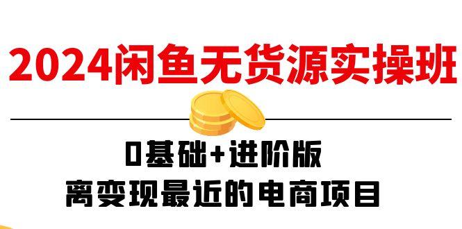 2024闲鱼-无货源实操班：0基础+进阶版，离变现最近的电商项目(15节-云泽轻创网