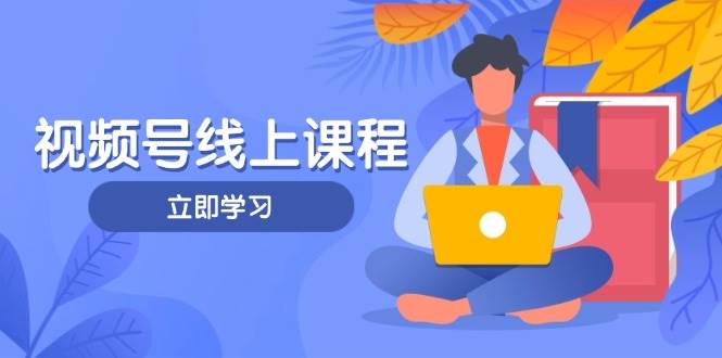 视频号实战课程,轻IP打造与运营技巧,掌握核心方法与策略-云泽轻创网