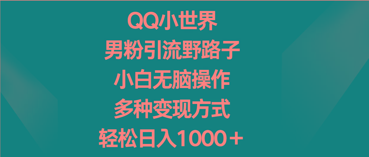 QQ小世界男粉引流野路子，小白无脑操作，多种变现方式轻松日入1000＋-云泽轻创网