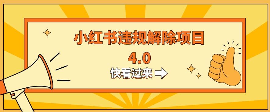 小红书违规掘金蓝海项目，日入800+（附带引流办法及解除办法）-云泽轻创网