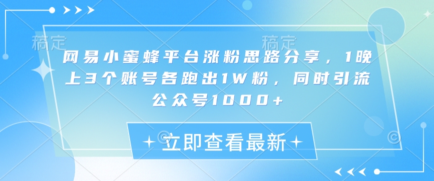 网易小蜜蜂平台涨粉思路分享，1晚上3个账号各跑出1W粉，同时引流公众号1000+-云泽轻创网