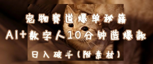 宠物赛道爆单秘籍：AI+数字人10分钟造爆款，日入1k-云泽轻创网