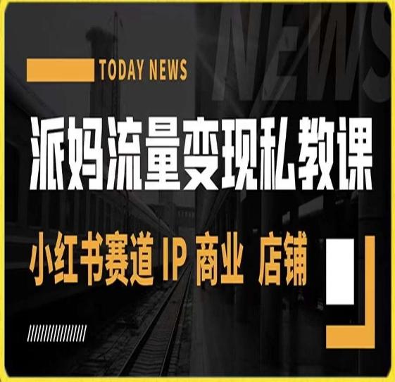 派妈流量变现私教课，小红书赛道IP  商业  店铺 -云泽轻创网